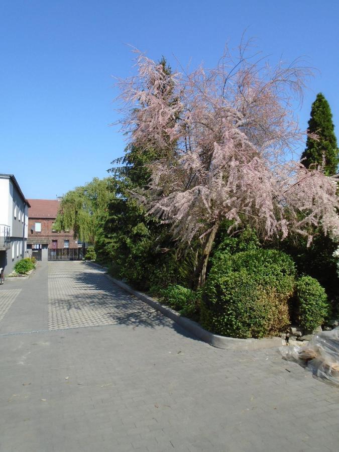 Villa Art Korab 格利维采 外观 照片